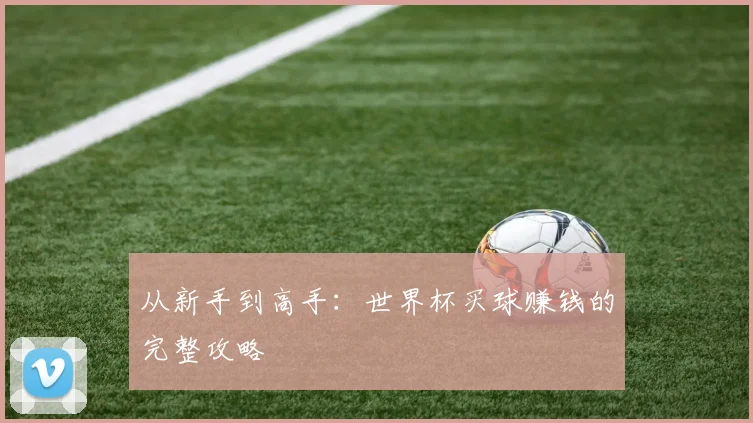 从新手到高手：世界杯买球赚钱的完整攻略