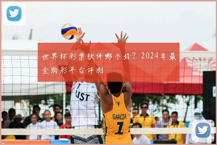 世界杯彩票软件哪个好？2024年最全购彩平台评测