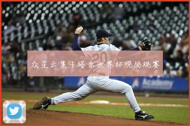 众星云集卡塔尔世界杯现场观赛