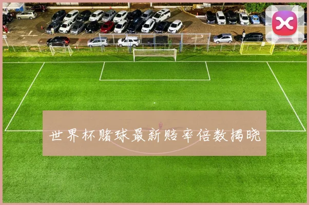 世界杯赌球最新赔率倍数揭晓