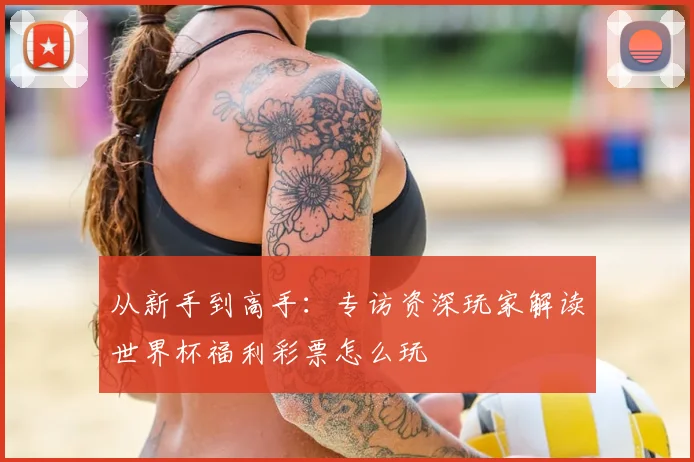 从新手到高手：专访资深玩家解读世界杯福利彩票怎么玩