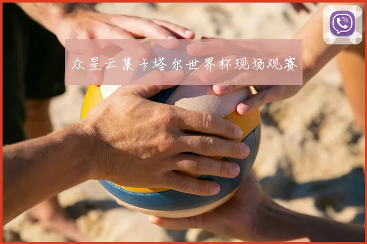众星云集卡塔尔世界杯现场观赛