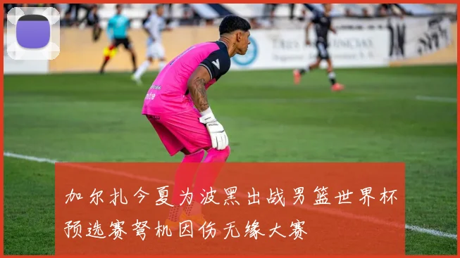 加尔扎今夏为波黑出战男篮世界杯预选赛弩机因伤无缘大赛