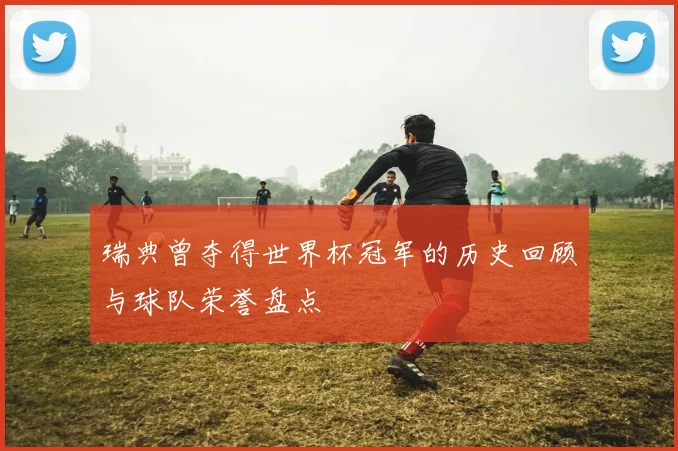 瑞典曾夺得世界杯冠军的历史回顾与球队荣誉盘点